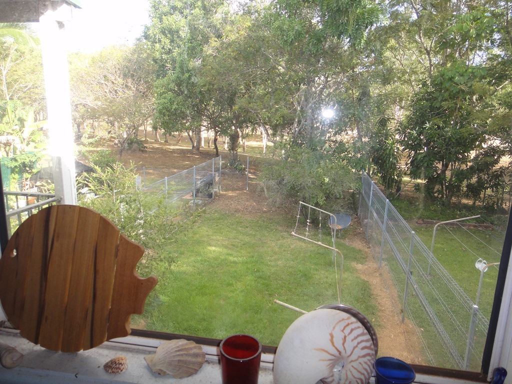 201210181246510.DSC03128.jpg?property_id=32